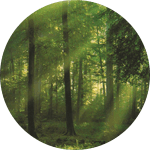 Environmentally Friendly